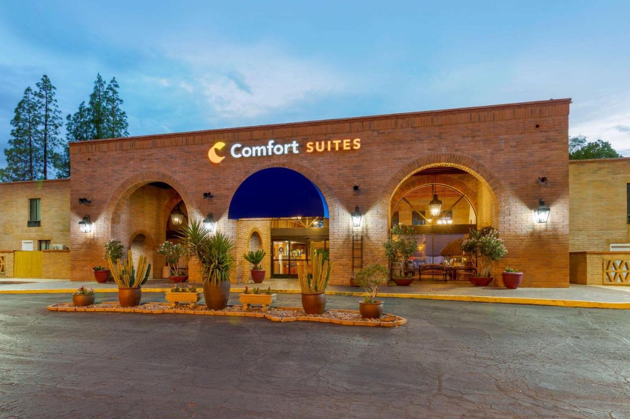 טוסון Comfort Suites At Sabino Canyon מראה חיצוני תמונה